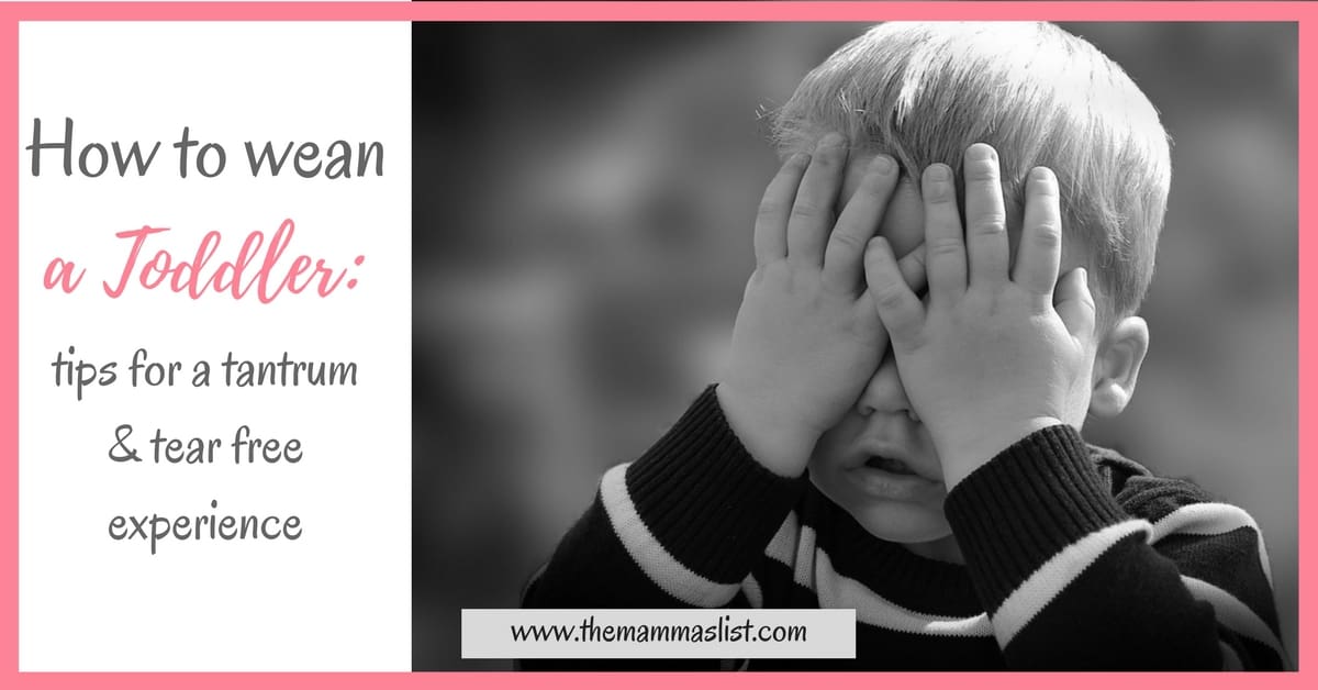 How to wean a toddler tips for a tear and trauma free experience